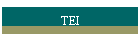 TEI