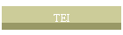 TEI