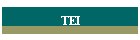 TEI